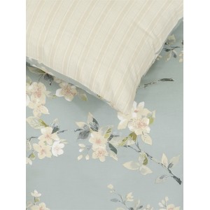 Σετ Σεντόνια Υπέρδιπλα με Λάστιχο - Clementine